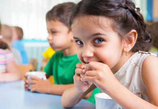 网络短信在线发送